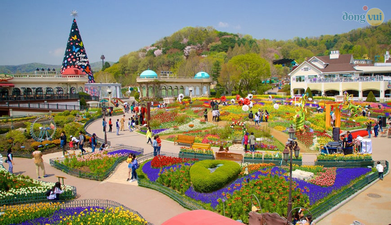 Công viên Everland - công viên giải trí lớn nhất Hàn Quốc được chia thành nhiều khu