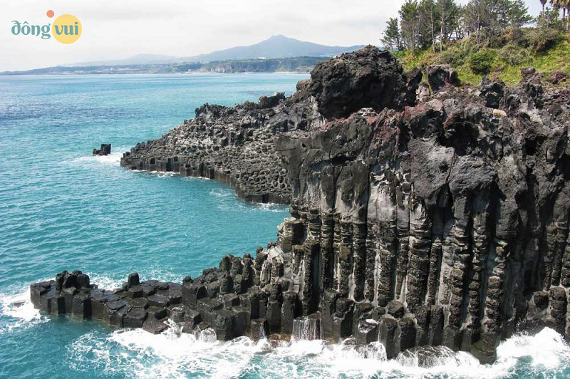 Chiêm ngưỡng vẻ đẹp bãi cột đá Jusangjeolli tại Jeju Hàn Quốc