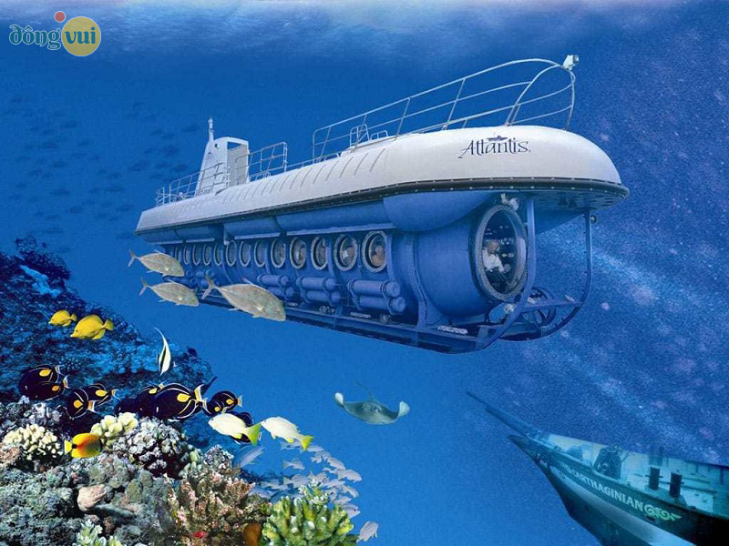 Lặn biển bằng tàu ngầm ở Maldives, đảo Jeju
