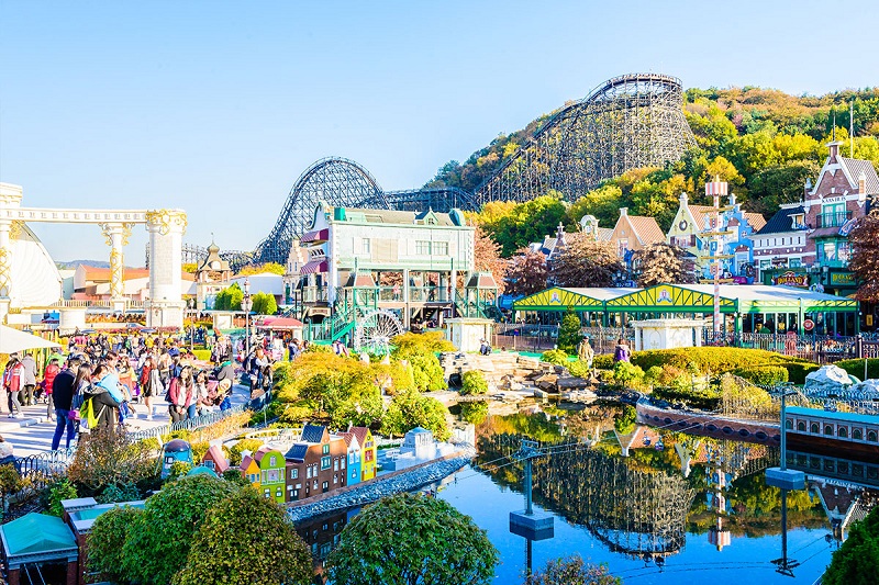 Everland - nơi hội tụ của các loài hoa xinh đẹp ngập sắc màu rực rỡ