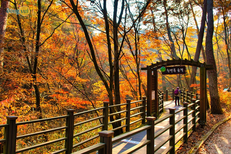 Dù vào thời điểm nào thì Gangwon-do đều rất đẹp