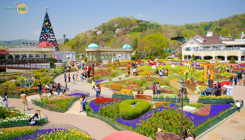 Everland - Nơi đáng đến ở Hàn Quốc