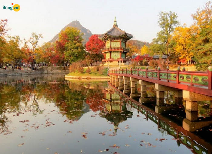 Mùa thu làm khung cảnh cung điện hoàng gia Gyeongbokgung mang màu sắc rực rỡ, tuyệt đẹp