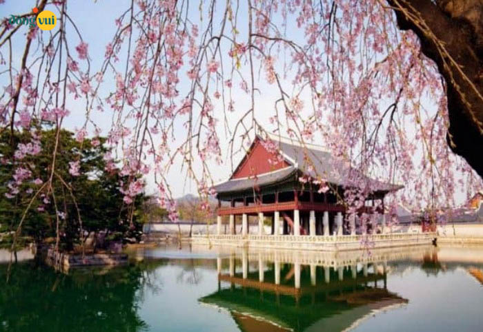 Bảo tàng Cố cung Quốc gia