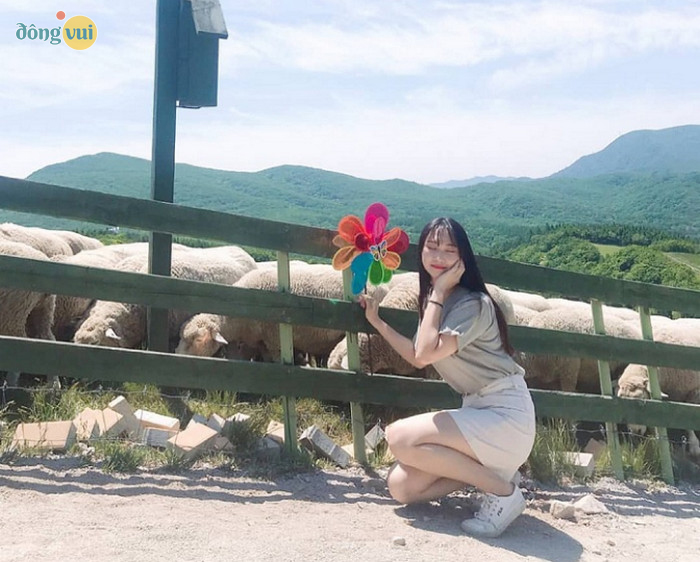 Daegwallyeong Wind Village luôn là điểm đến cho ra đời những bức ảnh tuyệt đẹp