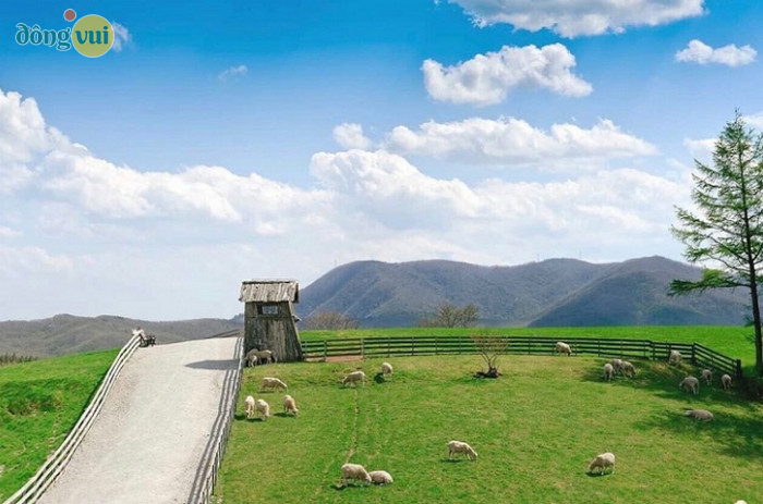 Con đường dẫn đến Daegwallyeong Wind Village đẹp như tranh