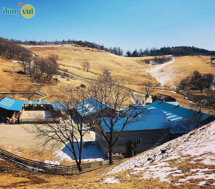 Trang trại Daegwallyeong Wind Village mùa thu đẹp cuốn hút