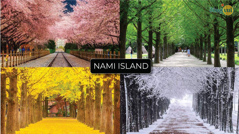 4 mùa ở đảo Nami đều rất đẹp