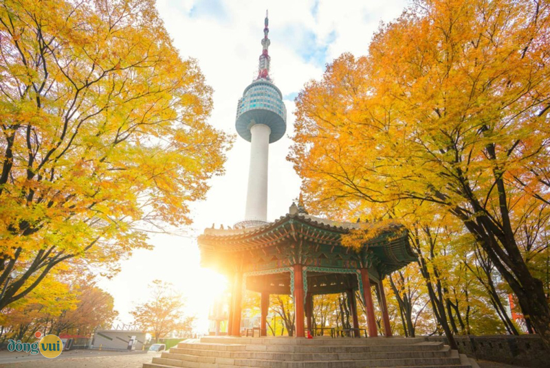 Khung cảnh lãng mạn của tháp tình yêu Namsan vào mùa thu lá vàng rơi