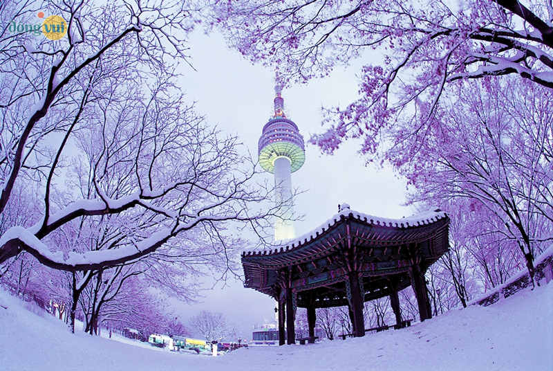 Khung cảnh lãng mạn ở tháp Namsan vào mùa đông tuyết rơi