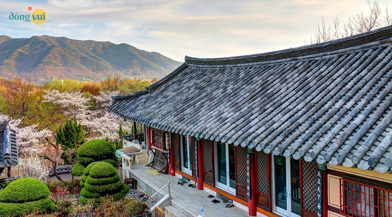 Đến Daegu vào mùa thu đông nhiệt độ mát mẻ giúp bạn có cơ hội tham gia nhiều hoạt động ngoài trời