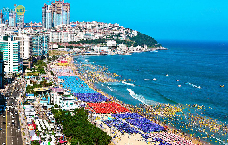 Hình ảnh bãi biển Haeundae đông khách vào mùa hè