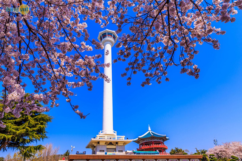 Tháp Busan - tòa tháp thứ 2 của Hàn Quốc sau Namsau ở Seoul