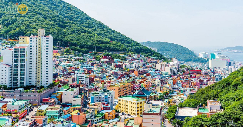 Toàn cảnh làng văn hóa Gamcheon với màu sắc rực rỡ