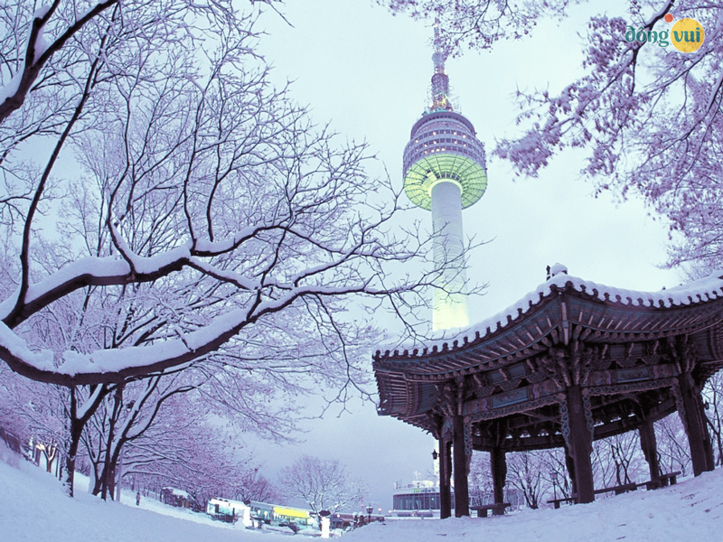 Tháp tình yêu Namsan vào những ngày đầu đông