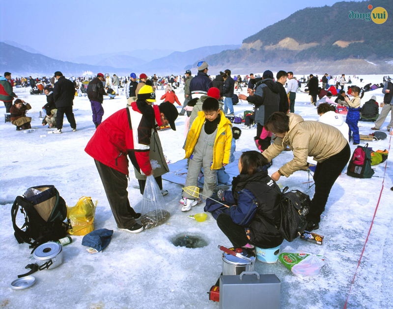 Tham gia lễ hội câu cá băng Pyeongchang ở tỉnh Gangwon-do