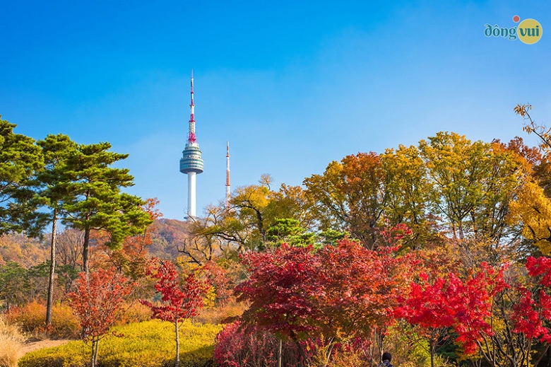 Công viên Namsan đầy sắc đỏ vàng rực rỡ, lãng mạn vào những ngày tháng 9