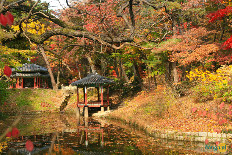 Cung điện Changdeokgung vào những ngày mùa thu tháng 11