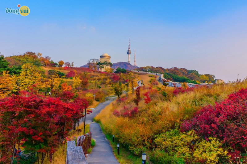 Một góc nhìn chụp từ trên cao xuống khung cảnh thiên nhiên lãng mạn ở công viên Namsan