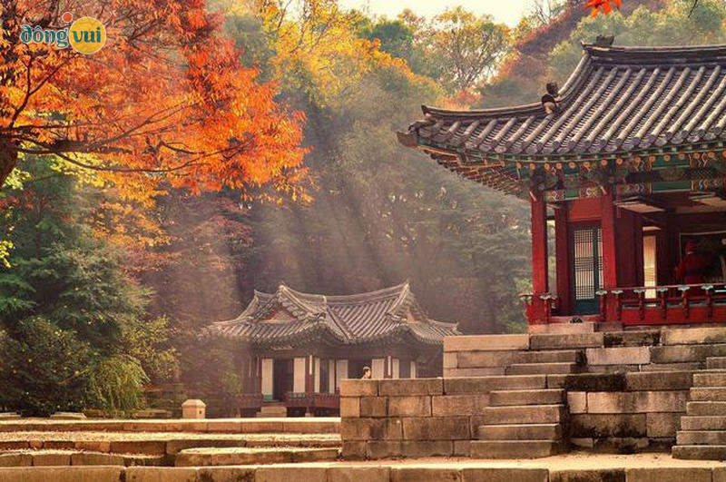 Cung điện Changdeokgung le lói dưới sắc vàng của cây phong đỏ và ánh nắng