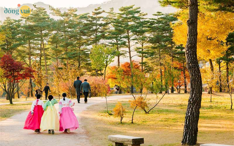 Nên đi du lịch Ulsan Hàn Quốc vào tháng mấy? Mùa nào?