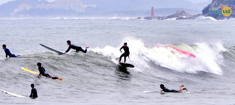 Hoạt động lượn sóng trên bãi biển Surfyy