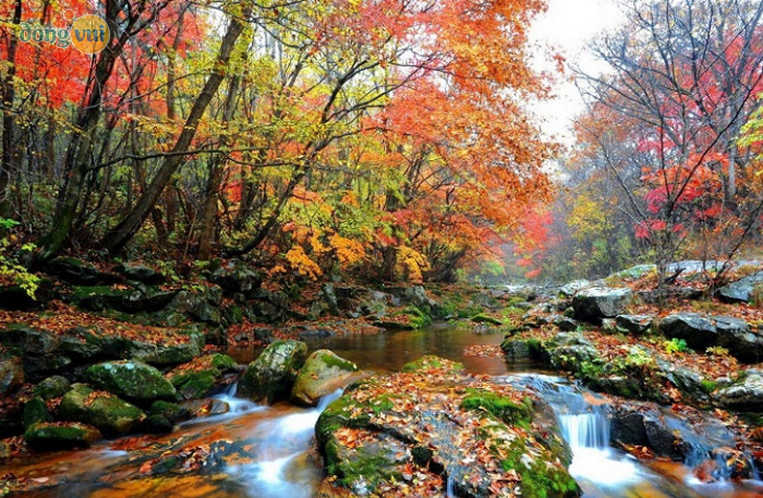 Nên đến Sokcho vào mùa hè
