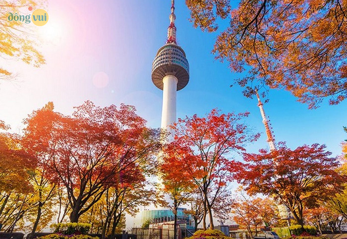 Tháp Namsan đẹp không kém vào ban ngày