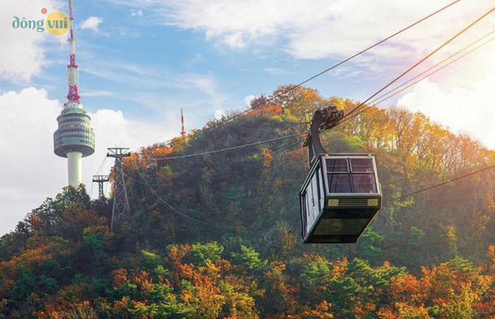 Di chuyển bằng cáp treo giúp bạn ngắm toàn cảnh bên dưới tháp và Seoul