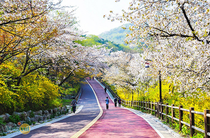 Công viên Namsan bình yên, trong lành, mang cảnh sắc nên thơ