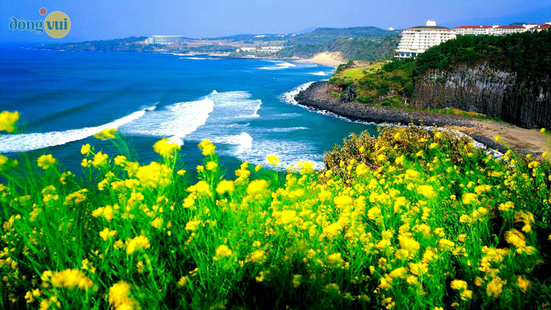 Đảo Jeju yên bình, mộng mơ trái ngược với sự sống động của thủ đô Seoul