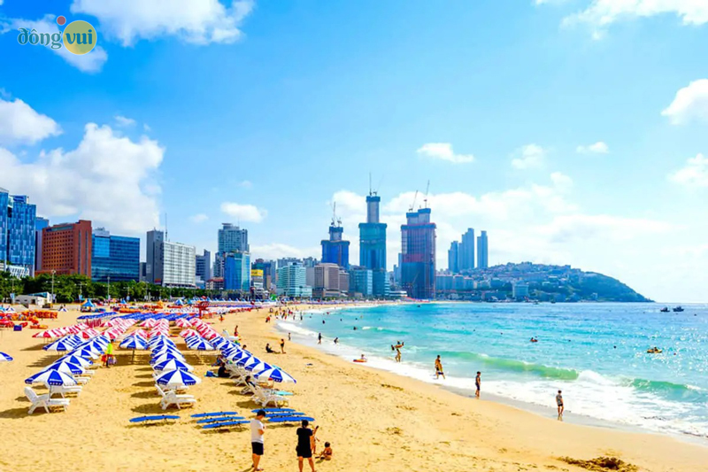Busan - địa điểm lý tưởng của mùa hè