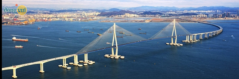 Incheon - cây cầu dài nhất, đẹp nhất ở Hàn Quốc