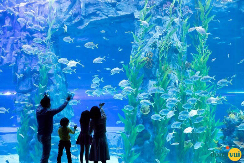 Thuỷ Cung Lotte World - đại dương thu nhỏ trong lòng Seoul