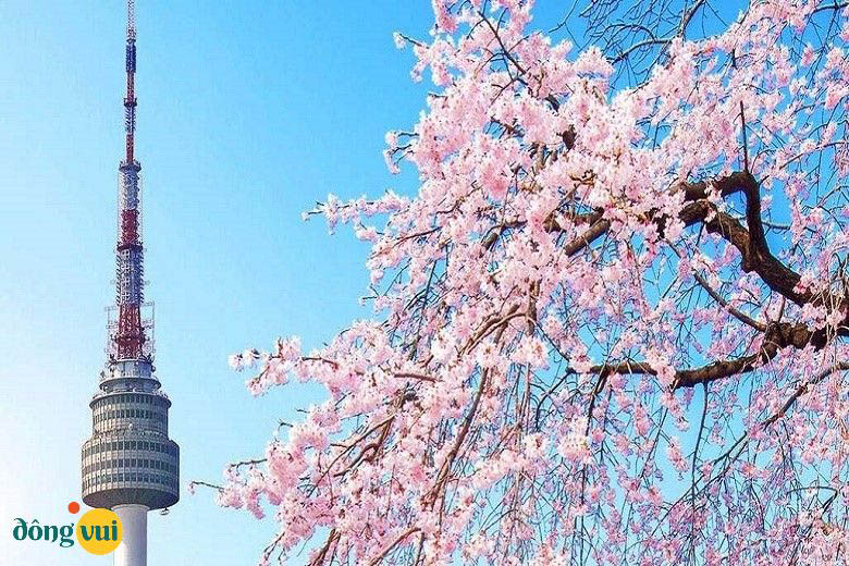 Tháp Namsan rực rỡ một góc bầu trời Seoul