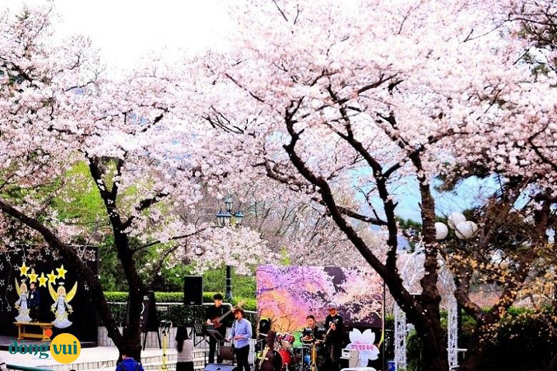 Cảnh sắc tuyệt đẹp tại thành phố thời trang Daegu