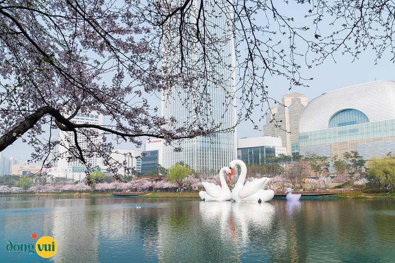 Hồ Seokchon thơ mộng giữa trung tâm thủ đô Seoul
