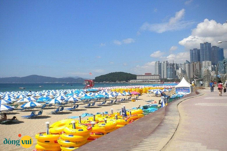 Buổi sáng bình yên bên bờ biển Songjeong