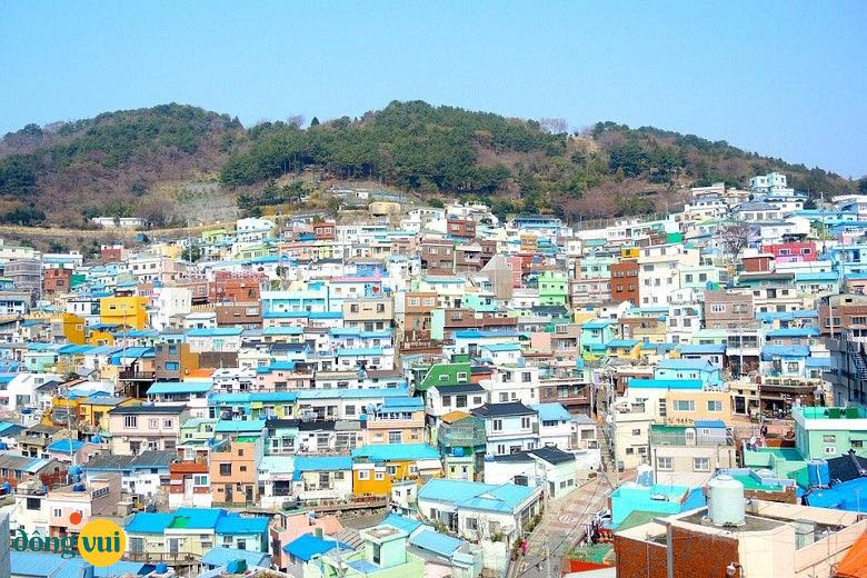 Làng văn hoá Gamcheon rực rỡ sắc màu và đầy nghệ thuật