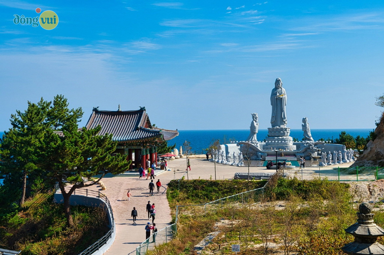Nhiều du khách lựa chọn cách đi du lịch Hàn Quốc đến với đảo Jeju 