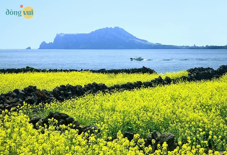 Thiên nhiên sông nước hữu tình của hòn đảo Jeju xinh đẹp