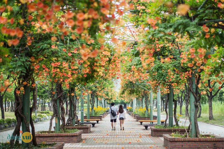 Con đường lãng mạn trong công viên Jungang
