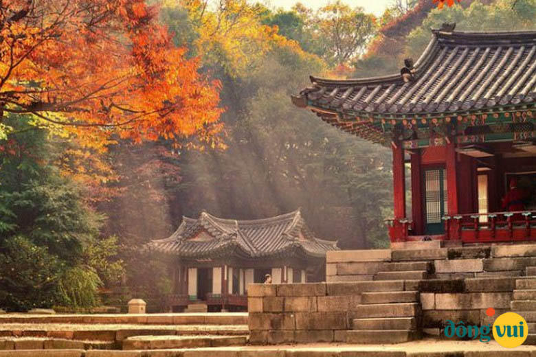 Ngoài vẻ trang nghiêm, cung điện còn mang nét rực rỡ khi cây lá ở đây đổi màu