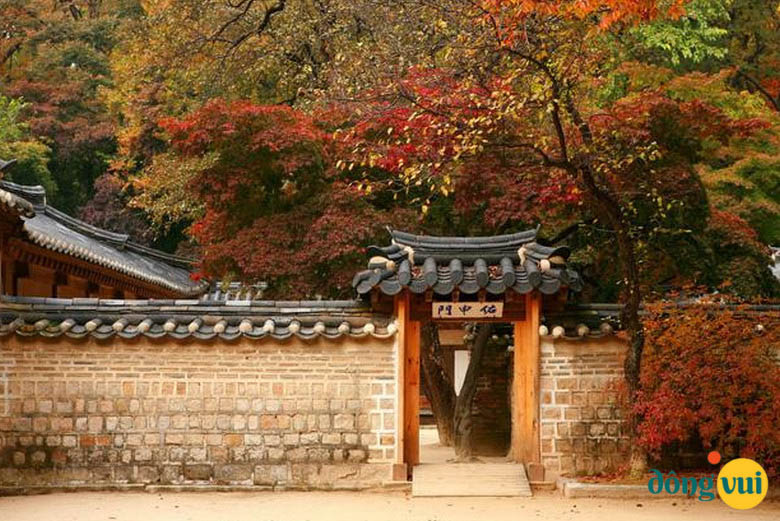 Cung điện Changdeokgung hiện lên tuyệt đẹp khi mùa thu sang