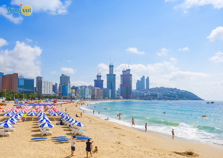 Biển Busan luôn là điểm đến được nhiều du khách chọn lựa khi du lịch Hàn Quốc vào mùa hè