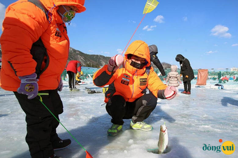 Lễ hội cá hồi Pyeongchang