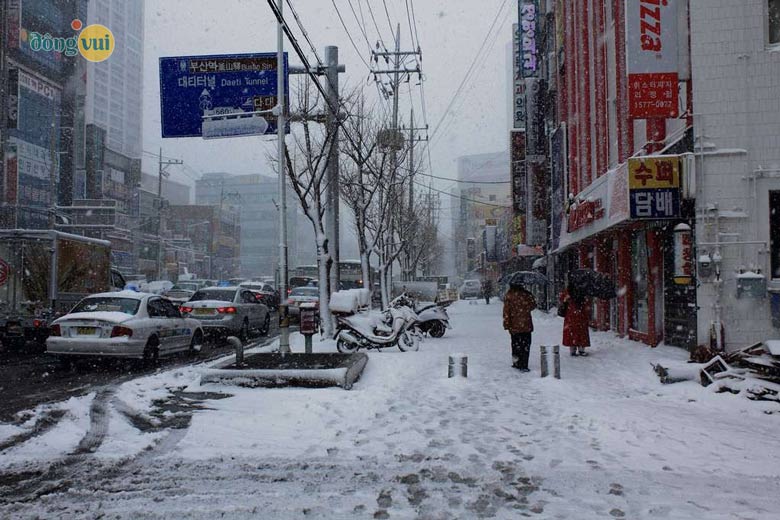 Thành phố Busan vào những ngày đông tuyết rơi
