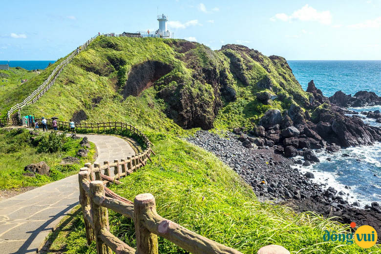 Mê mẩn trước cảnh sắc của đảo Jeju khi tháng 3 sang