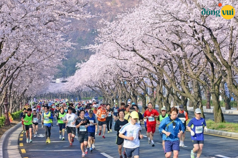 Hình ảnh mọi người sôi nổi tham gia cuộc thi Marathon ở Gyeongju
