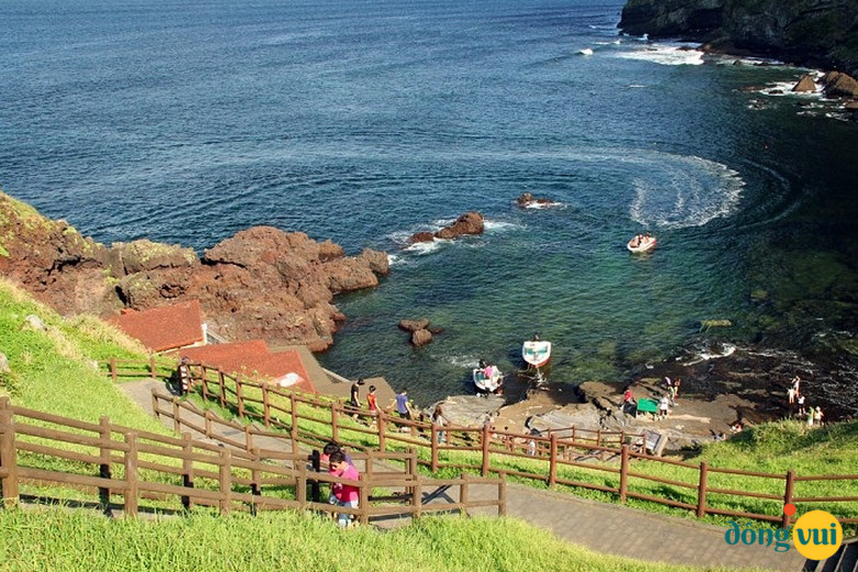 Đảo Jeju xanh mát một màu